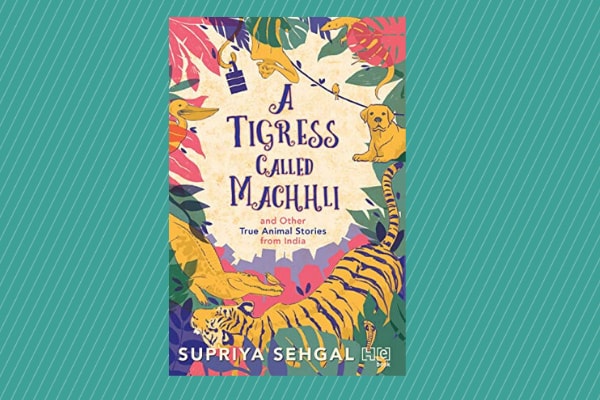 A Tigress Called Machhli: And Other True Animal Stories from India, by author Supriya Sehgal